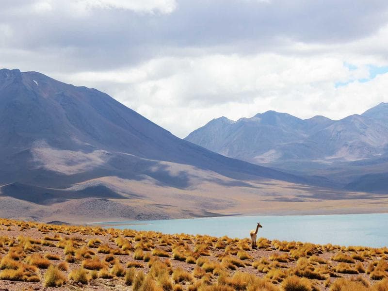 Ladakh