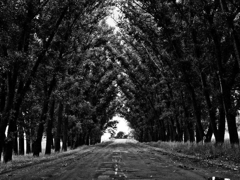 Ooty & Coorg