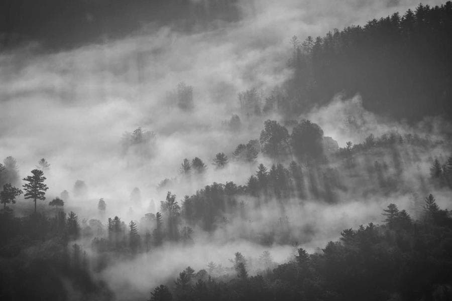Rishikesh Weekend Adventure
