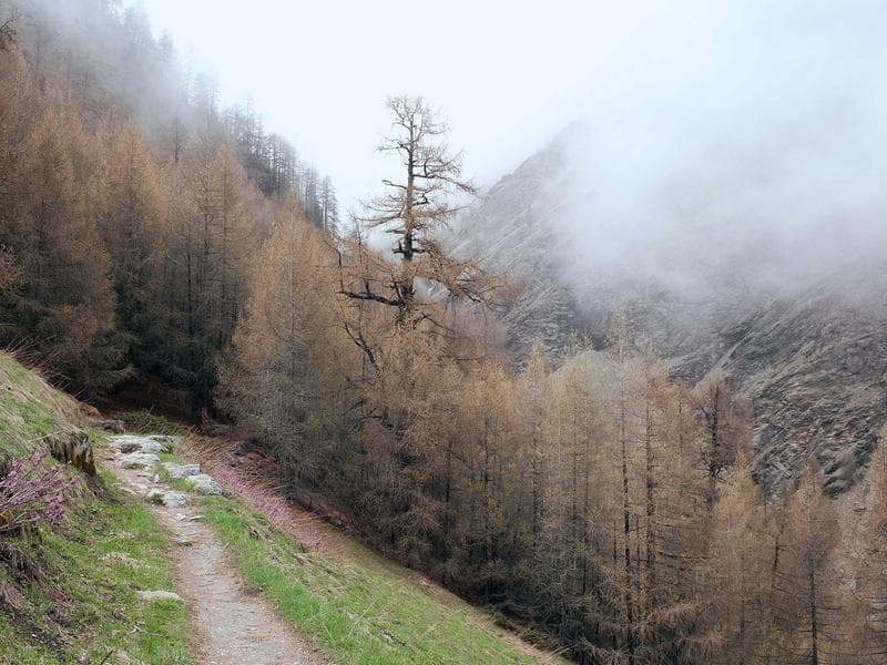 Switzerland